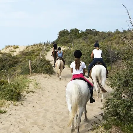 Blauw Dom wakacyjny *